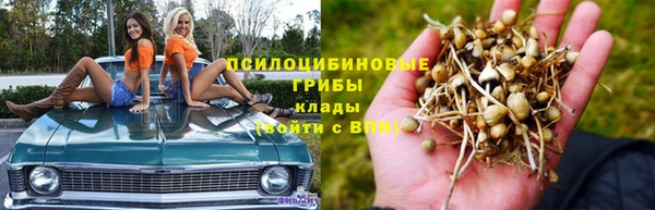 стафф Кукмор