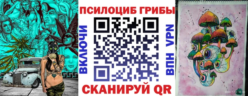 Купить где  Белогорск  Псилоцибиновые грибы Cubensis 